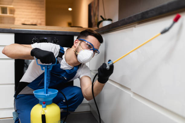 Best Flea Control Services  in Muse, PA