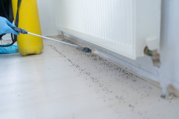 Best Commercial Pest Control Services  in Muse, PA